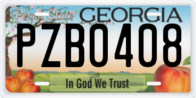 GA license plate PZB0408