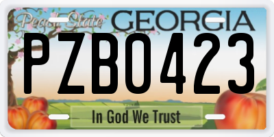 GA license plate PZB0423