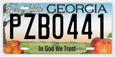 GA license plate PZB0441