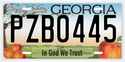 GA license plate PZB0445