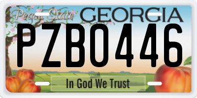 GA license plate PZB0446