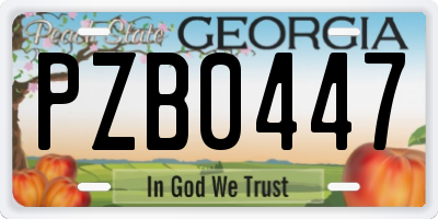 GA license plate PZB0447