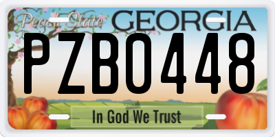 GA license plate PZB0448