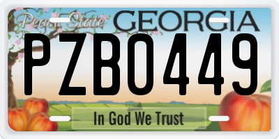 GA license plate PZB0449
