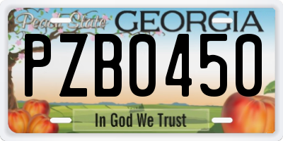 GA license plate PZB0450