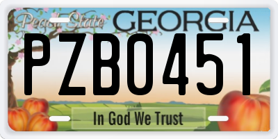 GA license plate PZB0451
