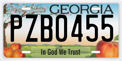 GA license plate PZB0455