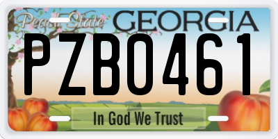 GA license plate PZB0461