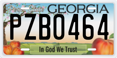 GA license plate PZB0464