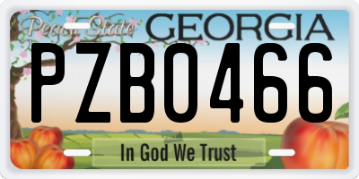 GA license plate PZB0466