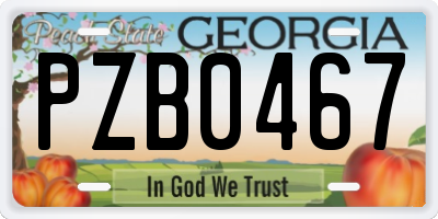 GA license plate PZB0467