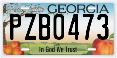 GA license plate PZB0473