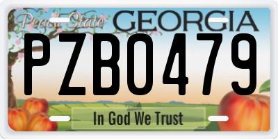 GA license plate PZB0479