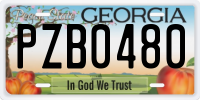GA license plate PZB0480