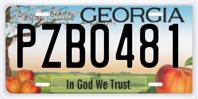 GA license plate PZB0481