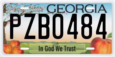 GA license plate PZB0484