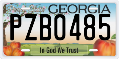 GA license plate PZB0485