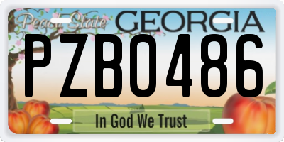 GA license plate PZB0486