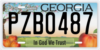 GA license plate PZB0487