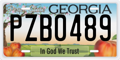 GA license plate PZB0489