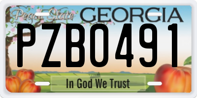 GA license plate PZB0491