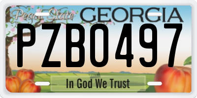 GA license plate PZB0497