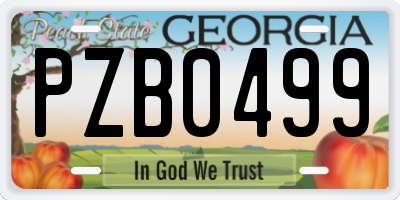 GA license plate PZB0499