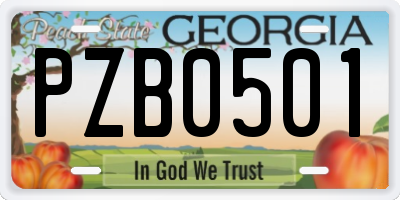 GA license plate PZB0501