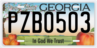 GA license plate PZB0503