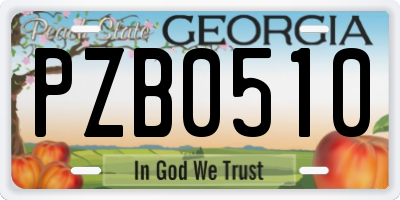 GA license plate PZB0510