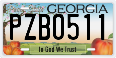 GA license plate PZB0511