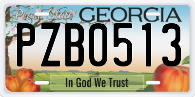 GA license plate PZB0513