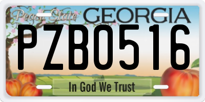 GA license plate PZB0516