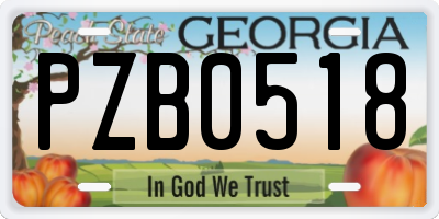 GA license plate PZB0518