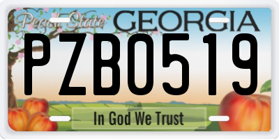 GA license plate PZB0519