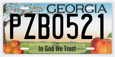 GA license plate PZB0521