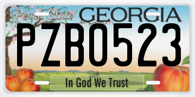 GA license plate PZB0523