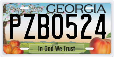 GA license plate PZB0524