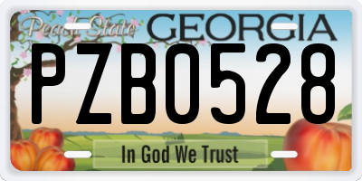 GA license plate PZB0528