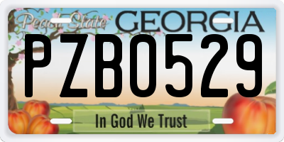 GA license plate PZB0529