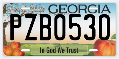 GA license plate PZB0530