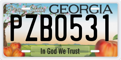 GA license plate PZB0531