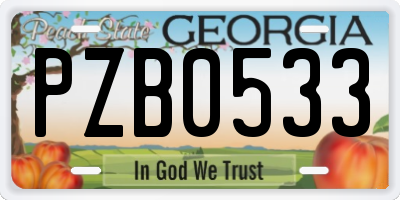 GA license plate PZB0533