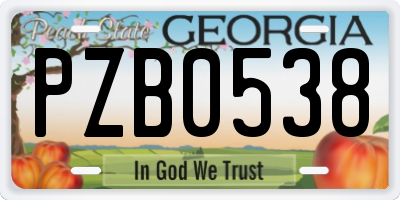 GA license plate PZB0538