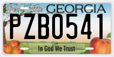 GA license plate PZB0541