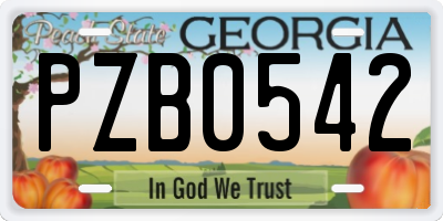 GA license plate PZB0542