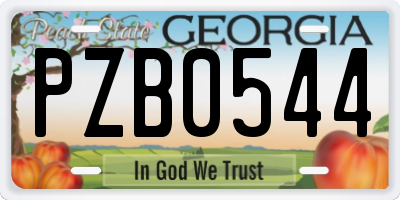 GA license plate PZB0544