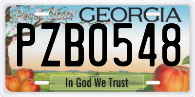 GA license plate PZB0548