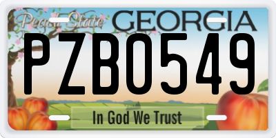 GA license plate PZB0549