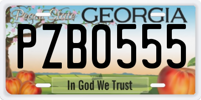 GA license plate PZB0555